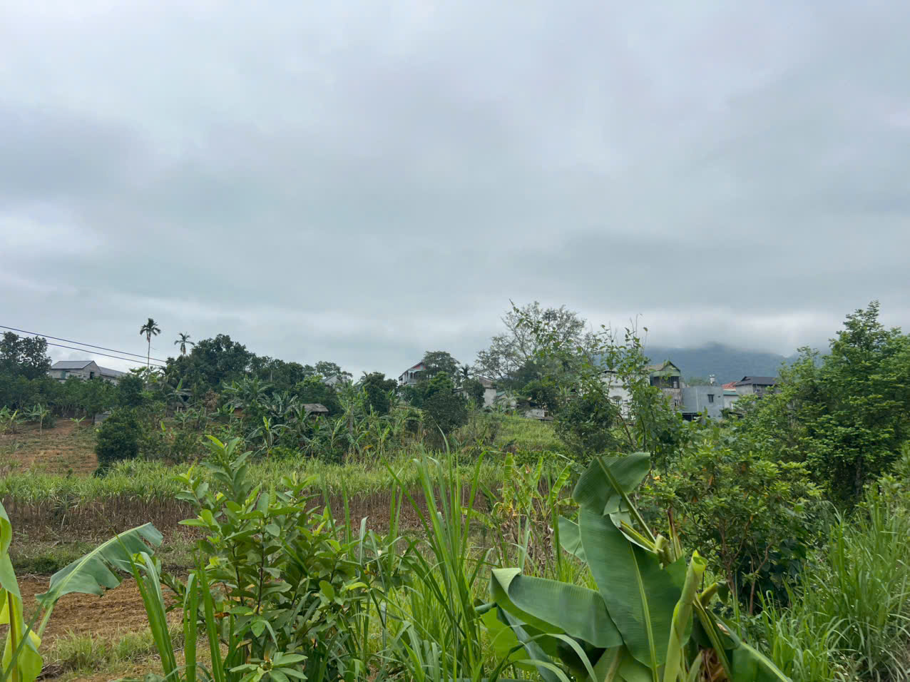 Bán 1000M_có 950M thổ cư bám đường bê tông 20M_gần trung tâm Cao Phong Hoà Bình_1,x tỷ - Ảnh chính